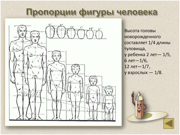 1.jpg 1.jpg